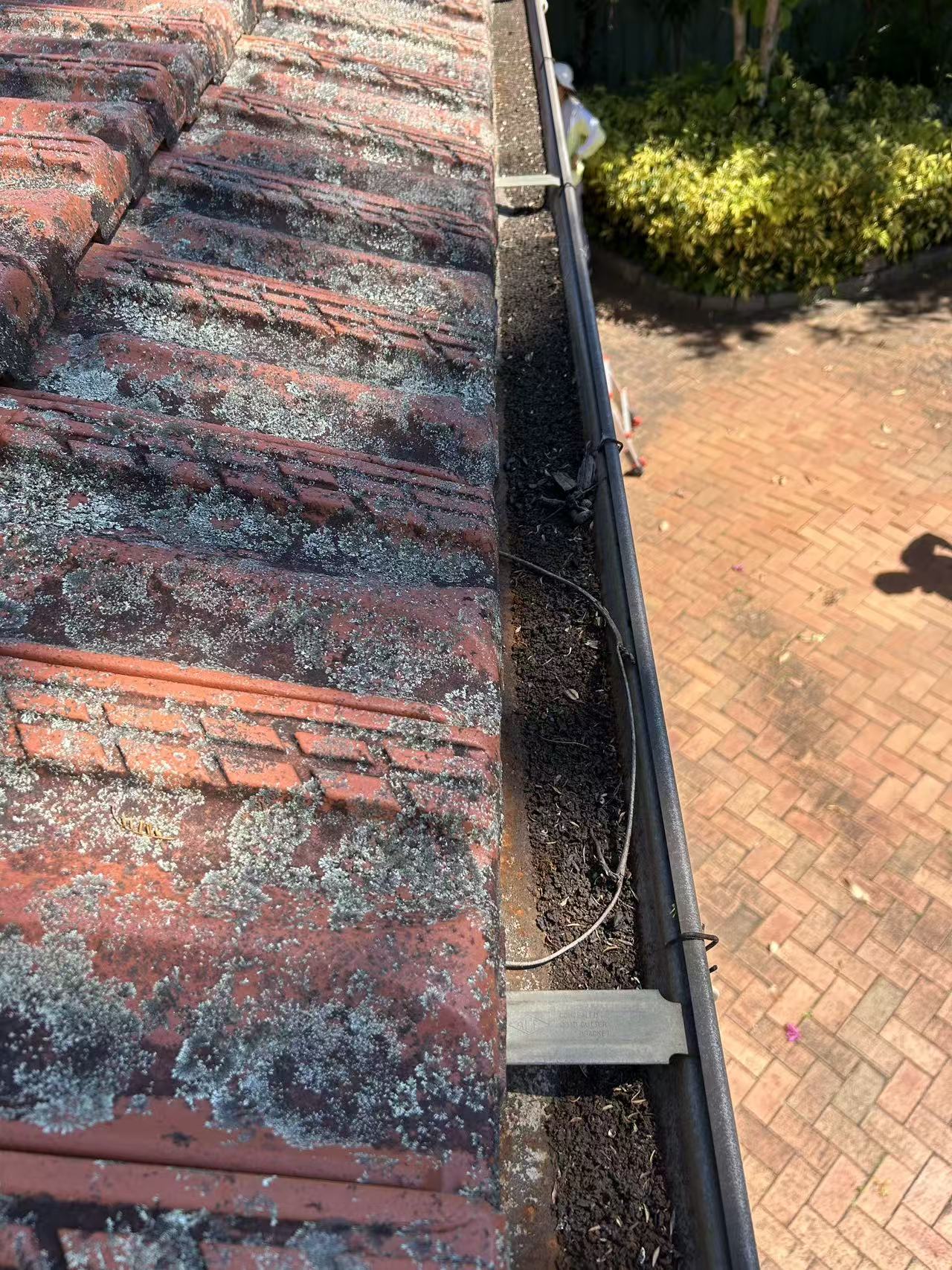 Sediment and plant debris inside a gutter