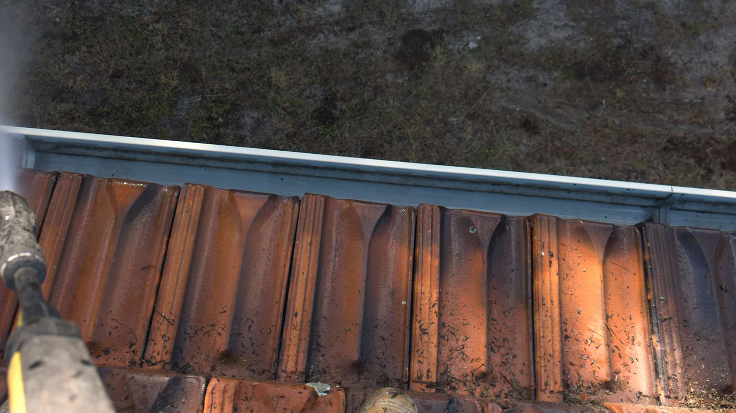 Sydney roof tiles and adjoining gutter, site photograph 2
