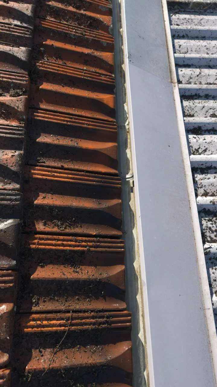 Sydney roof tiles and adjoining gutter, site photograph 4