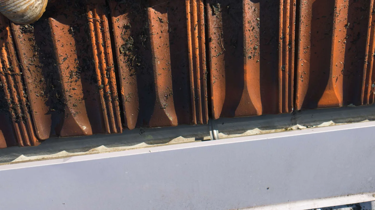 Sydney roof tiles and adjoining gutter, site photograph 5