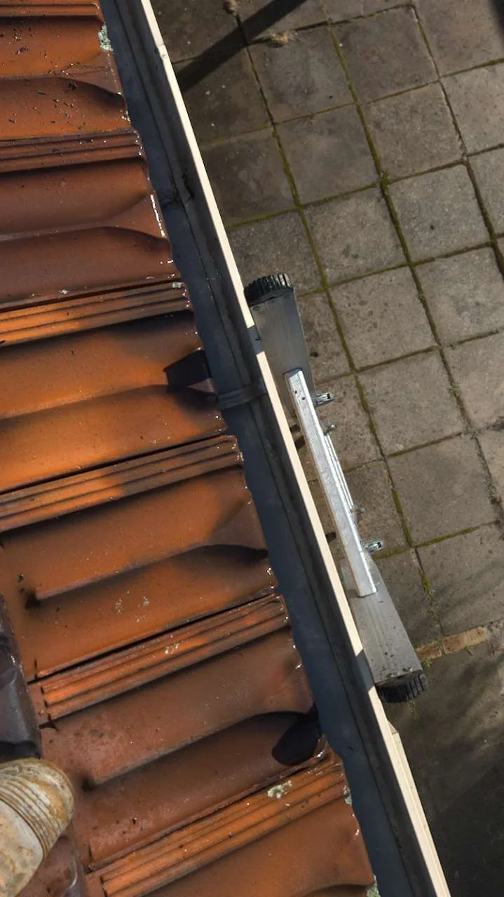 Sydney roof tiles and adjoining gutter, site photograph 6